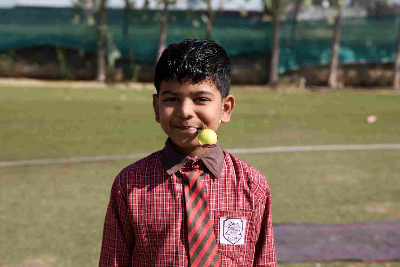 Untitled design (56)